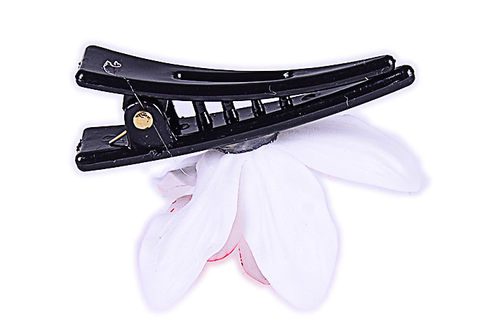 45-45ff31c050fab2
