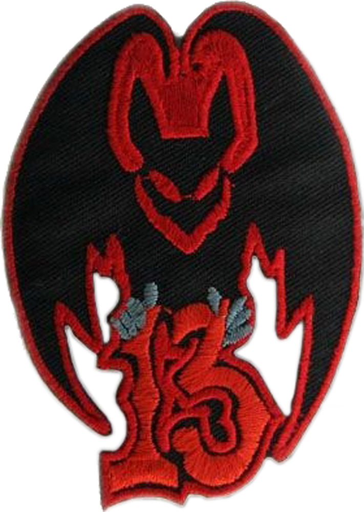 BAT_Fledermaus_13_AufnaeherMgSikgJlsgpJO