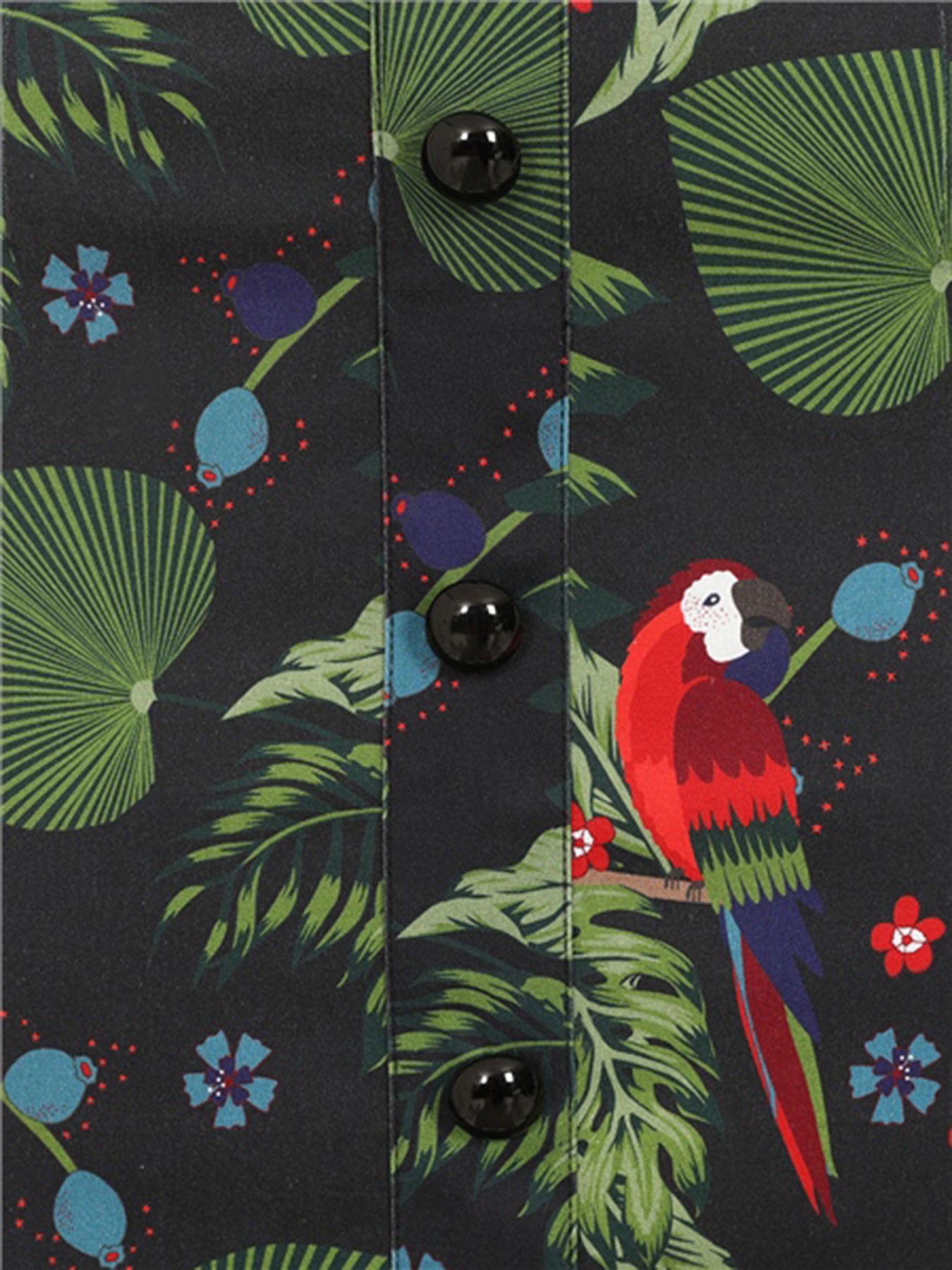 Collectif_BETTINA_Retro_PARROT_PARADISE_Vintage_Papageien_50s_PENCIL_Skirt_killer_kirsche_4