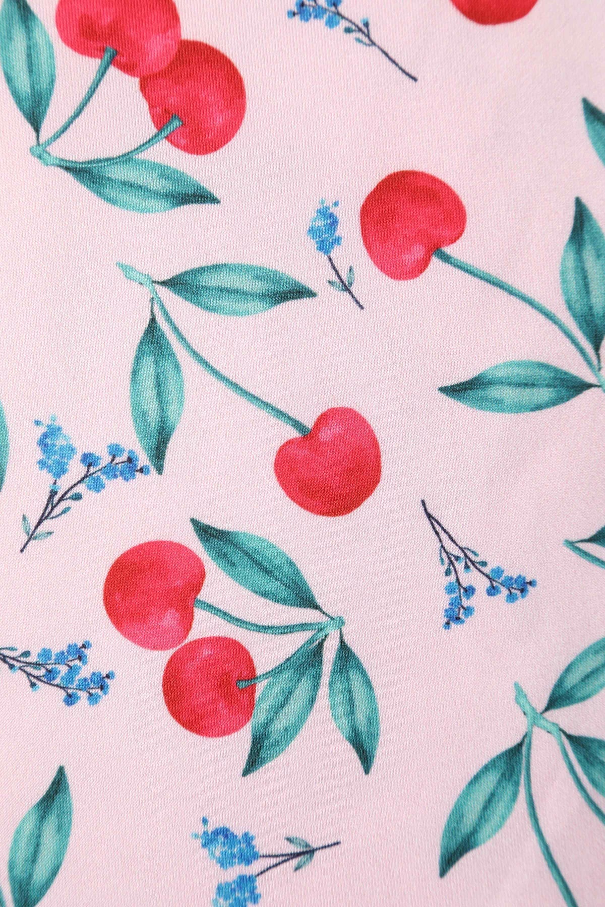 Dolly_and_Dotty_AMANDA_PINK_CHERRY_Retro_Traeger_Kirschen_Flared_Swing_KLEID_Dress_-_Pink-6