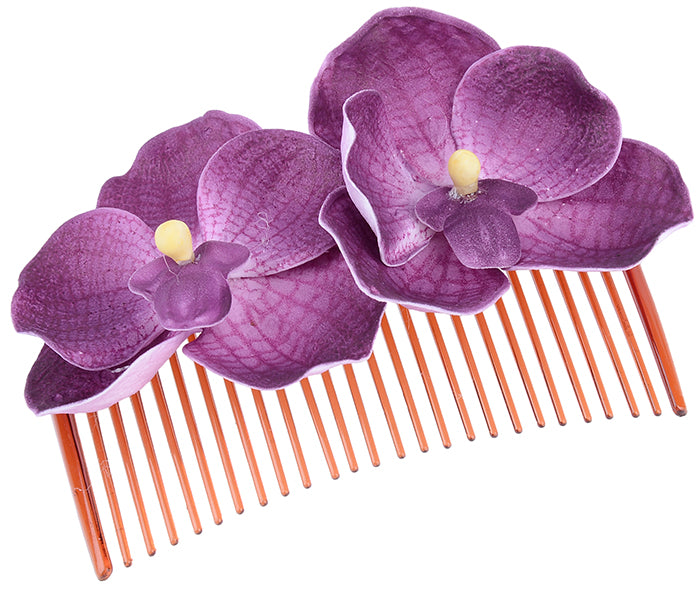 FDH4323_1Gl707kDZSZmCo