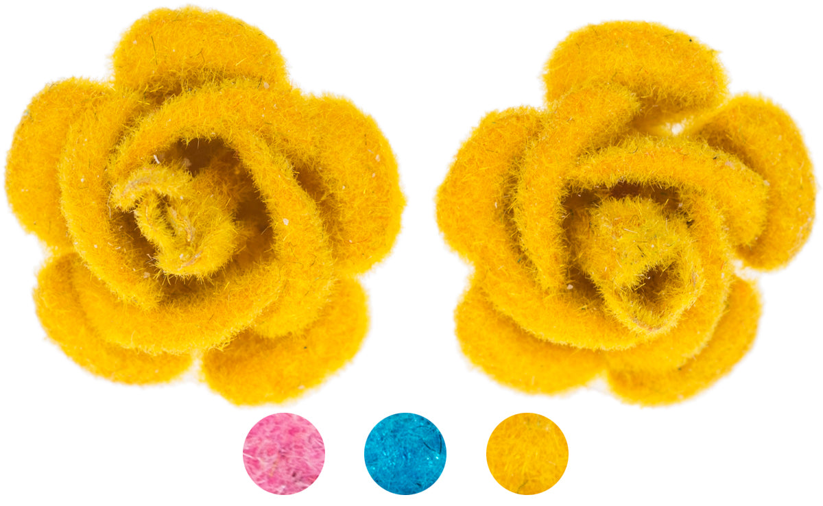 Killer_Kirsche_Zamia_GalerieIh8uCfHGKaRl7