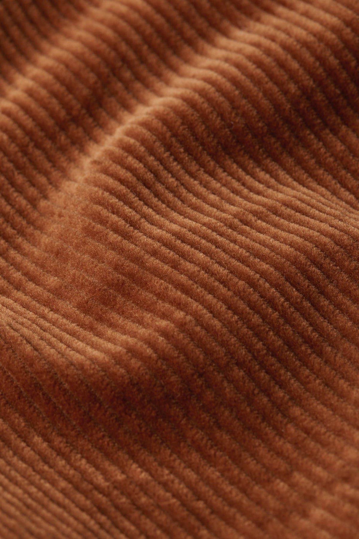 King_Louie_ARIZONA_CORDUROY_Retro_CORD_Teddy_Kragen_ZIPPER_JACKET_Bomberjacke_Killer_Kirsche-5UJnrlmm8IEStp