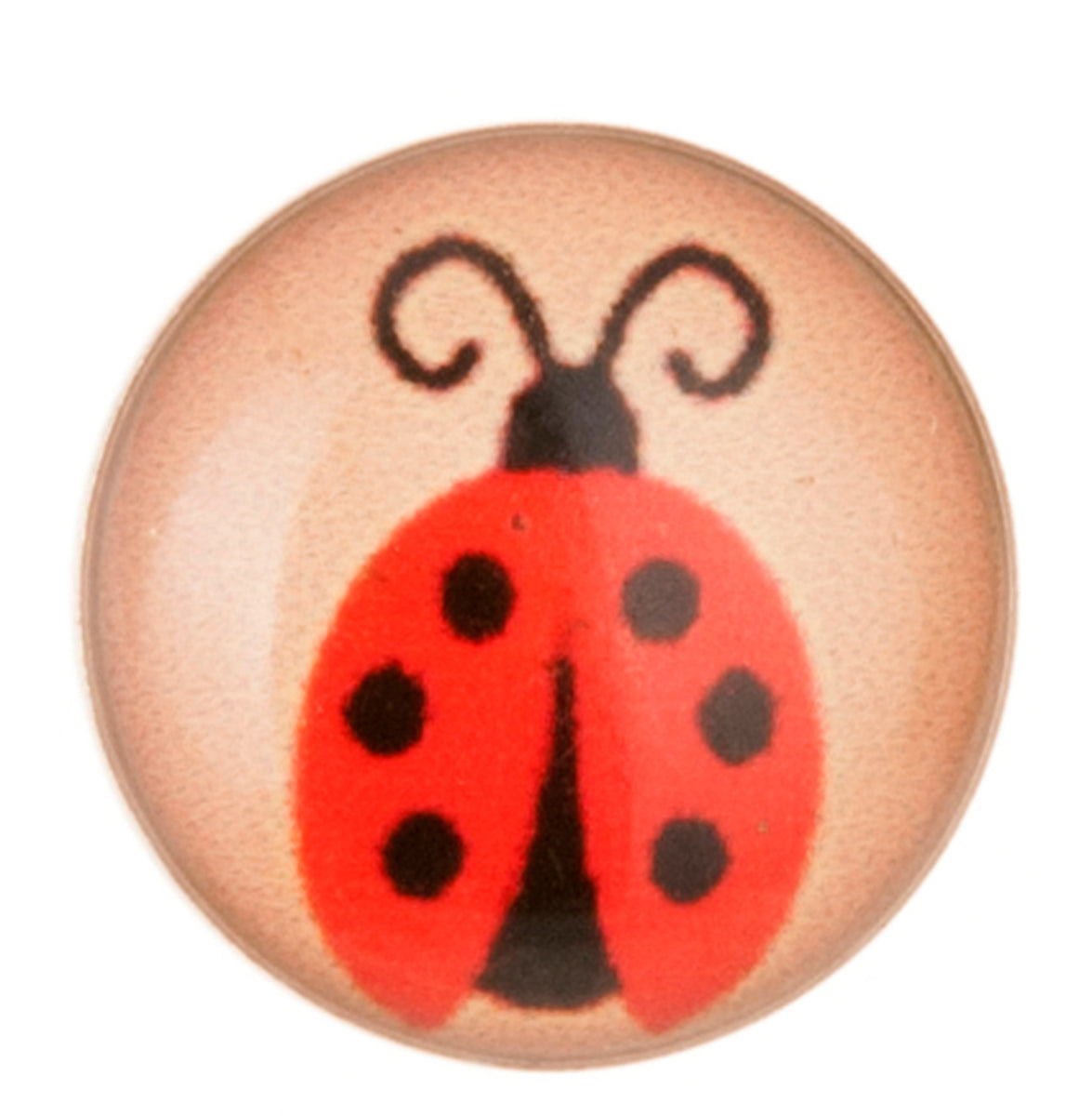 Pi101-14mR3Jn8VjP85o