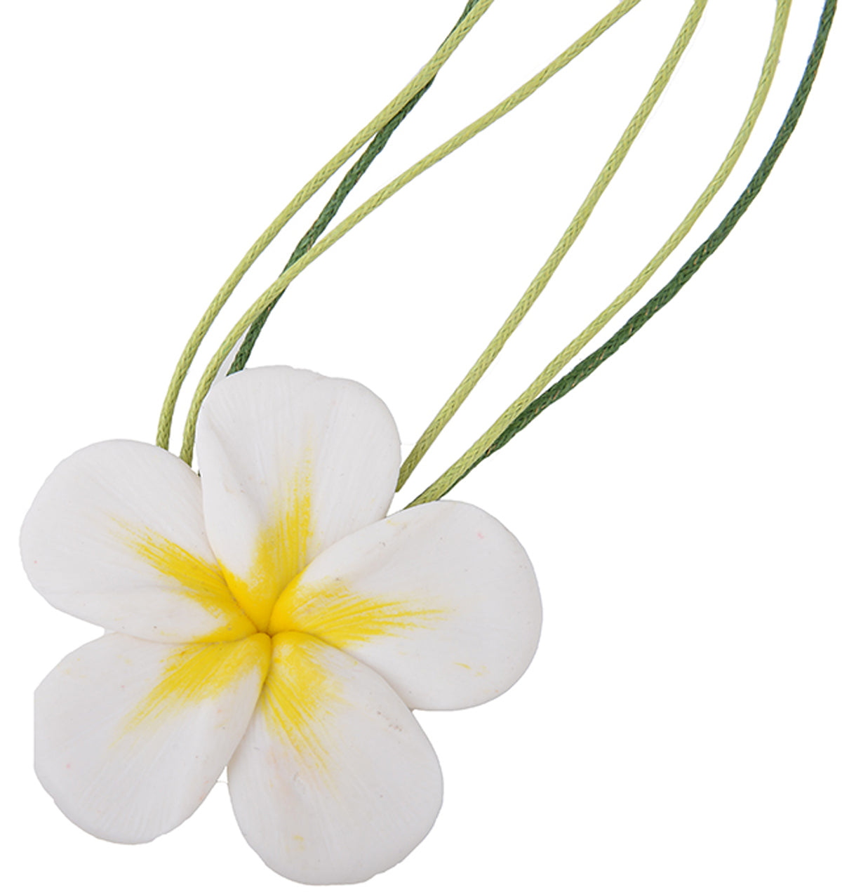 RAS3204NhNznokihPKBU