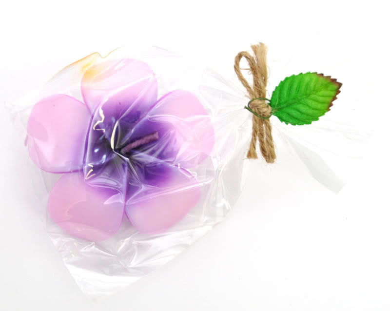 c44_Killer-Kirsche_Januar2011_No2_DSC_0568