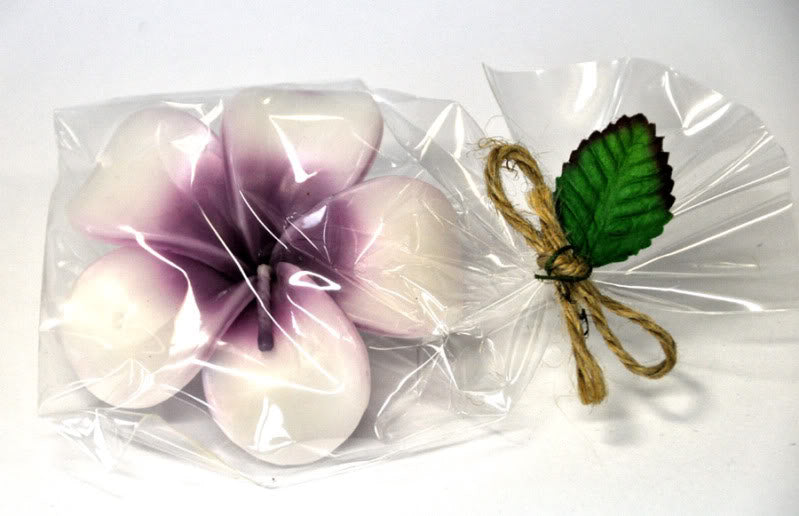 c44_Killer-Kirsche_November07-2_August2010_DSC_027114tMOTqzPc1tu