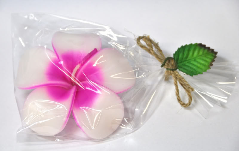 c44_Killer-Kirsche_November07-2_August2010_DSC_0274yBj9oAcrUlbYm