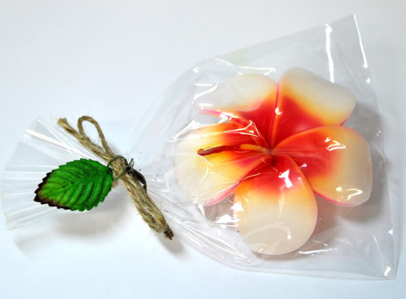 c44_Killer-Kirsche_November07-2_August2010_DSC_0283qfwpcJQPe76Ax