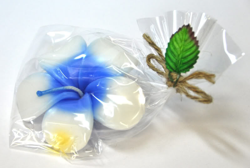 c44_Killer-Kirsche_November07-2_August2010_DSC_0285CuqorxMqPbOdX