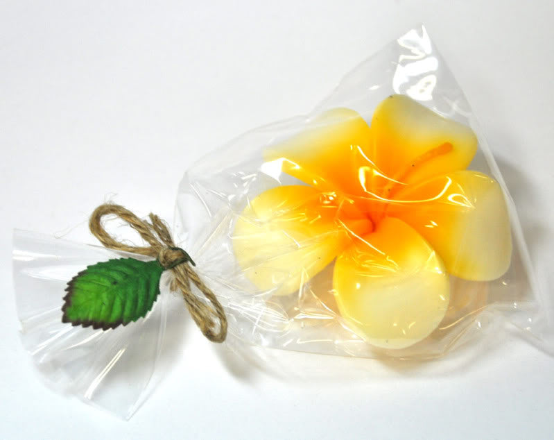 c44_Killer-Kirsche_November07-2_August2010_DSC_0291Yii8iD58xO44l