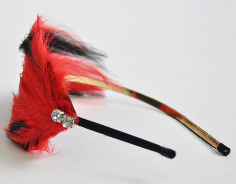 c44_Killer-Kirsche_Oktober2010_DSC_0553jwixSfZotO9Od