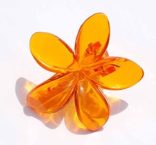 c44_Killer-Kirsche_th09-1_DSC_0266-1as1APrJQZkdkp