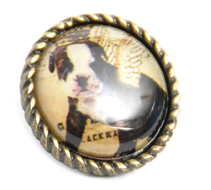 http___killerkirsche-de_pic_ordner_13-11-2012-01_19-11-2012_2008_29_22-DSC_0928_20Kopie0zQZh42su3bX2