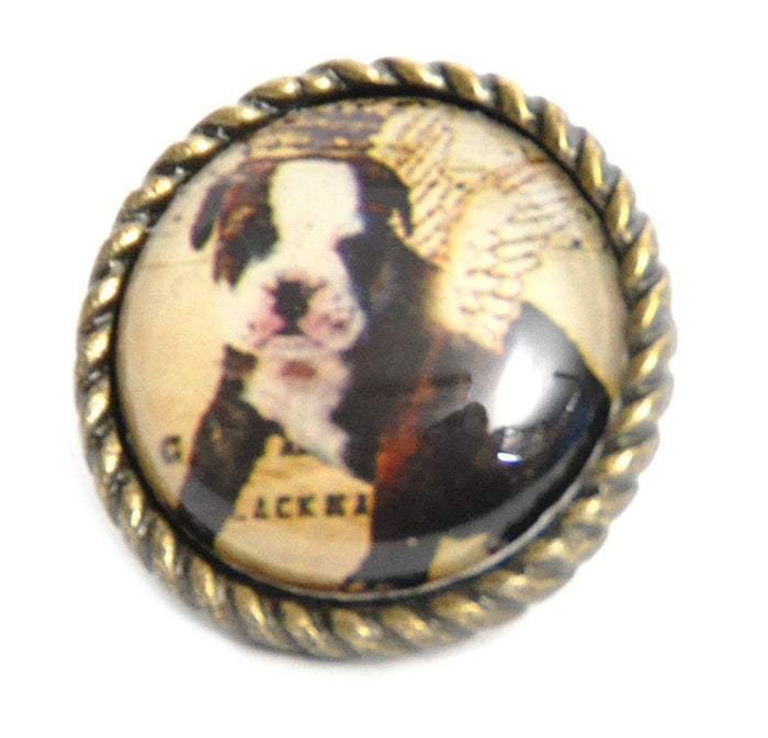 http___killerkirsche-de_pic_ordner_13-11-2012-01_19-11-2012_2008_31_01-DSC_0925_20KopieY6TIhfERmOAT7