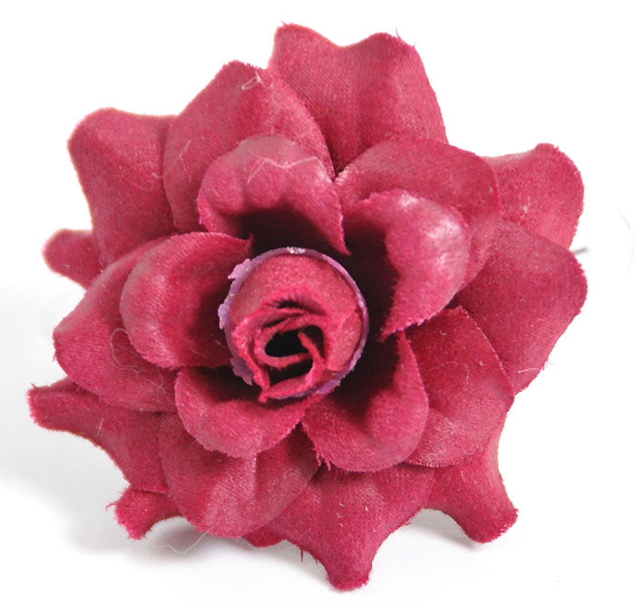 http___killerkirsche-de_pic_ordner_24-11-2011-03_30-11-2011_2010_41_23-DSC_0529_20Kopie