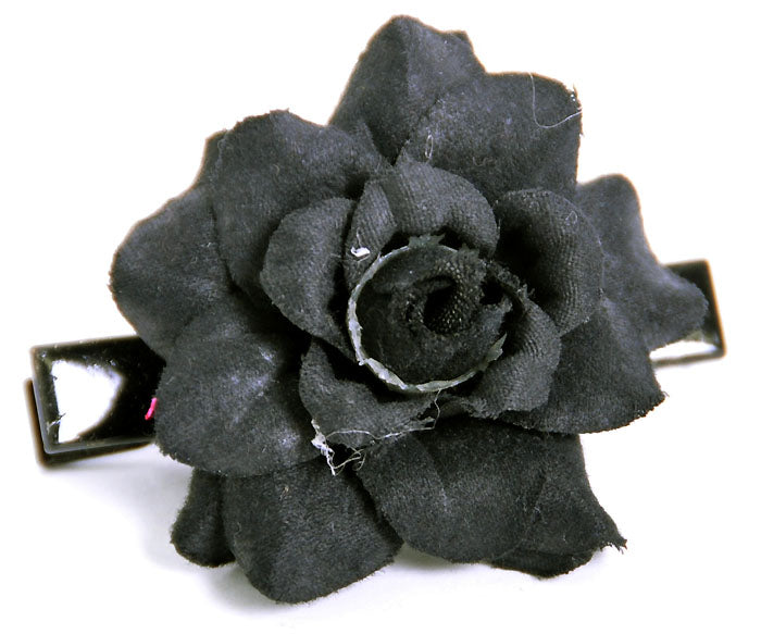 http___killerkirsche-de_pic_ordner_24-11-2011-03_30-11-2011_2010_41_32-DSC_0557_20Kopie