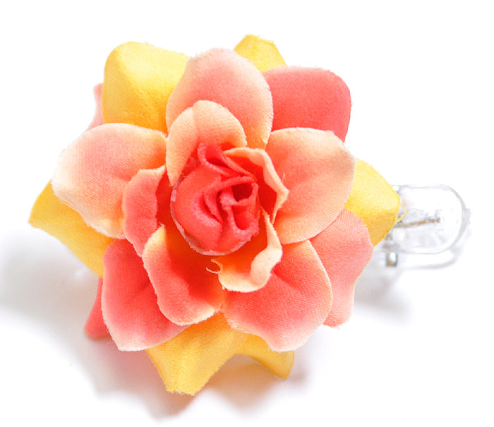 http___killerkirsche-de_pic_ordner_27-05-2011-No1_30-05-2011_2008_49_05-DSC_0445