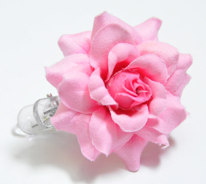 http___killerkirsche-de_pic_ordner_27-05-2011-No1_30-05-2011_2009_44_38-DSC_0496