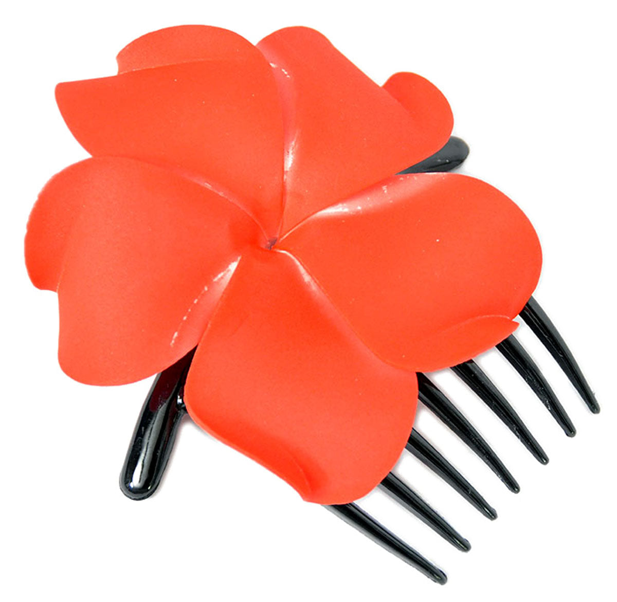 _killerkirsche-de_pic_ordner_11-09-2012-01_13-09-2012_2009_17_27-DSC_0445_20Kopie