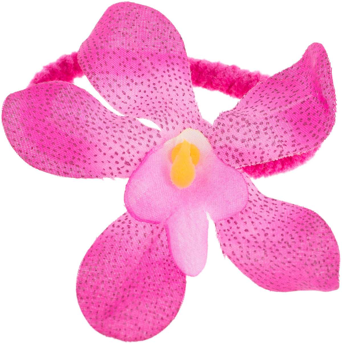 magenta2EgxlHRmN3ql6f